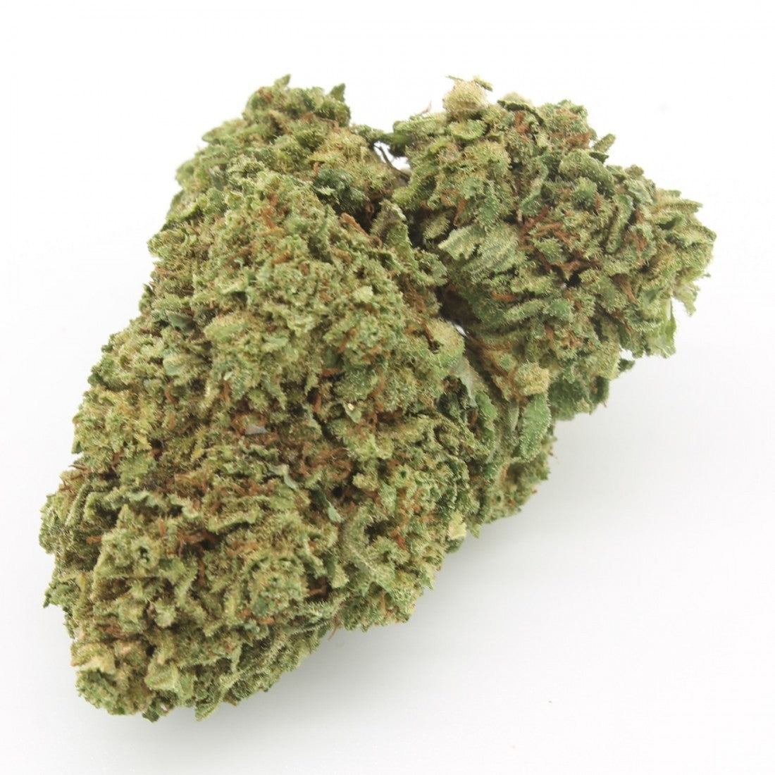 blue kush infiorescenza