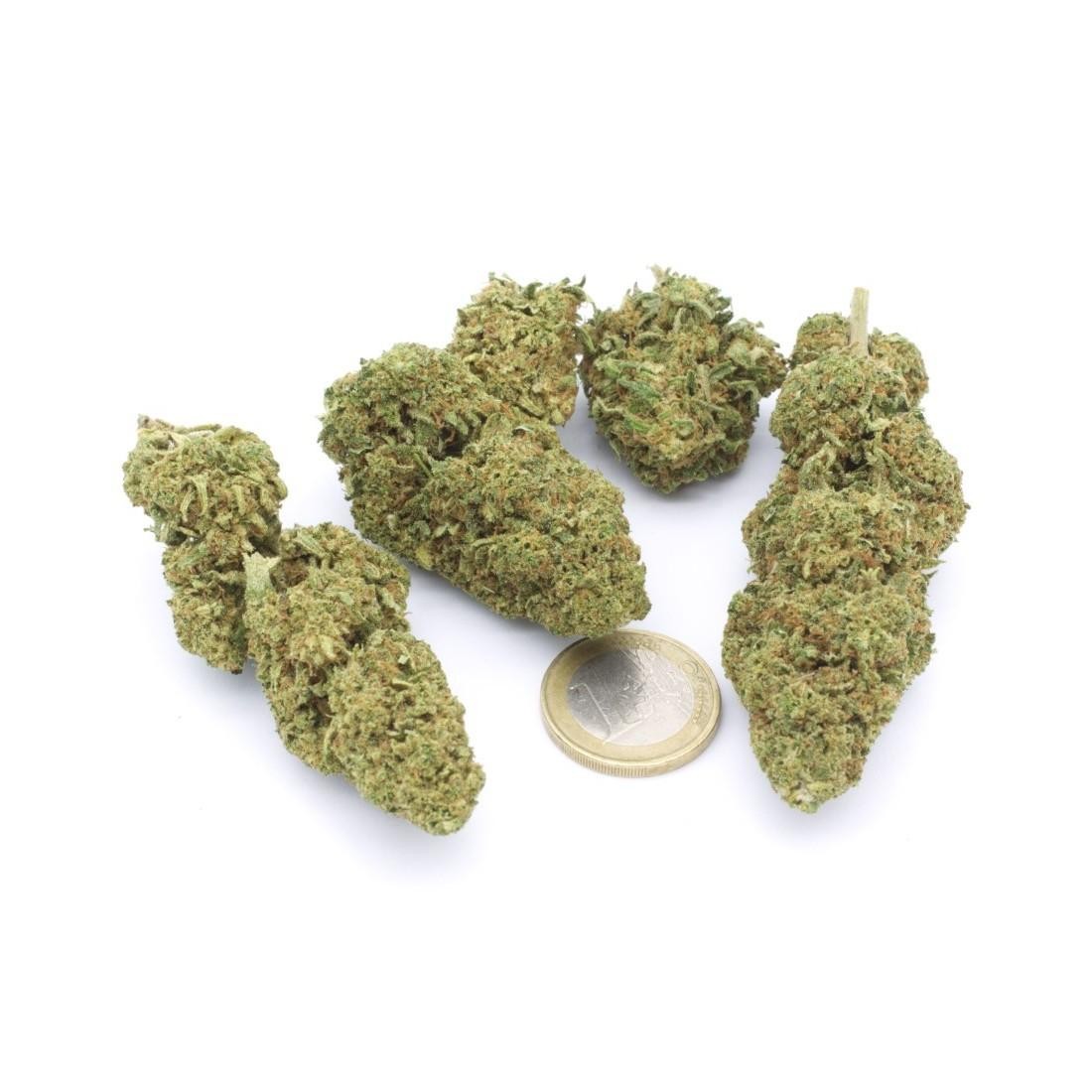 cannatonic