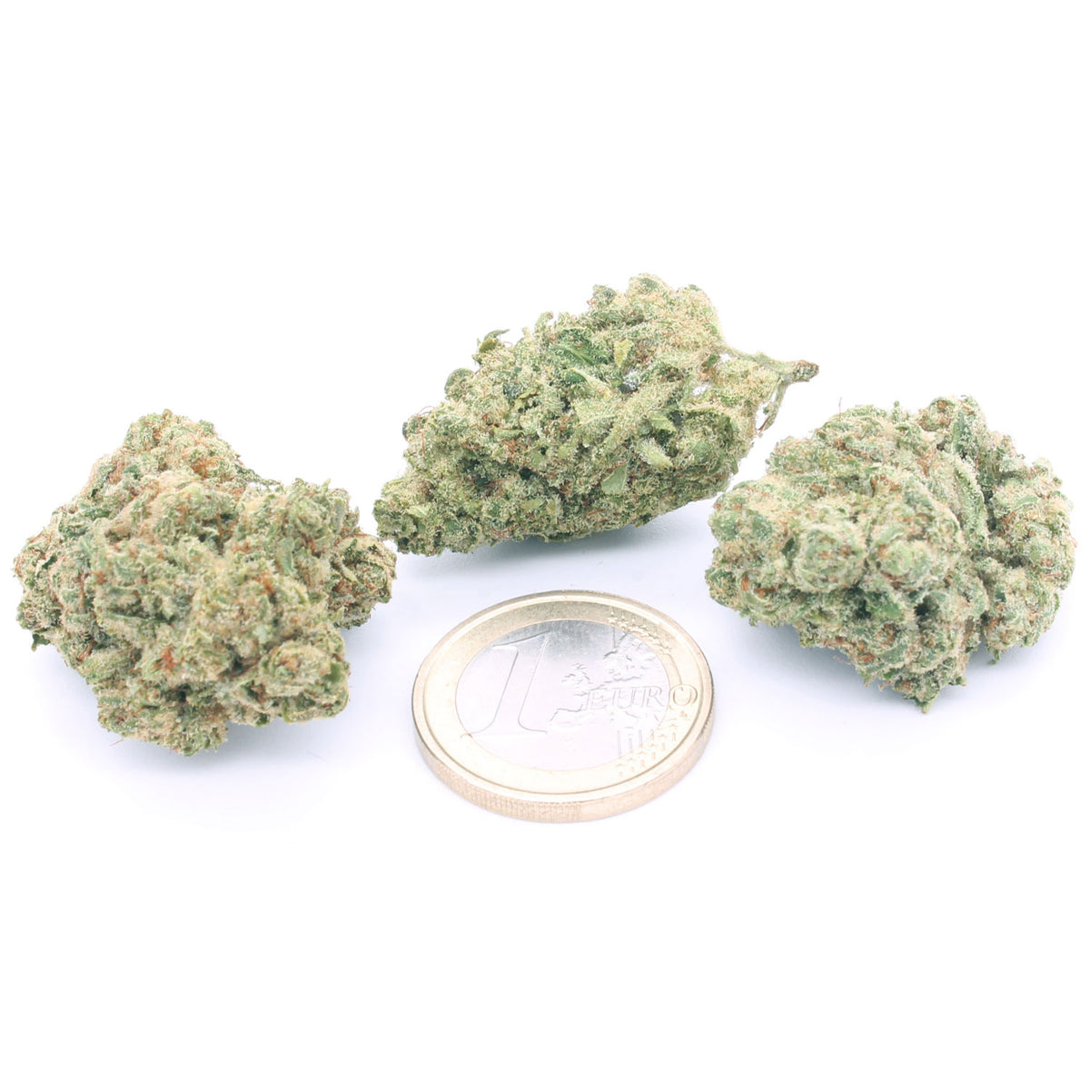 white-widow-cbd-bulk-group