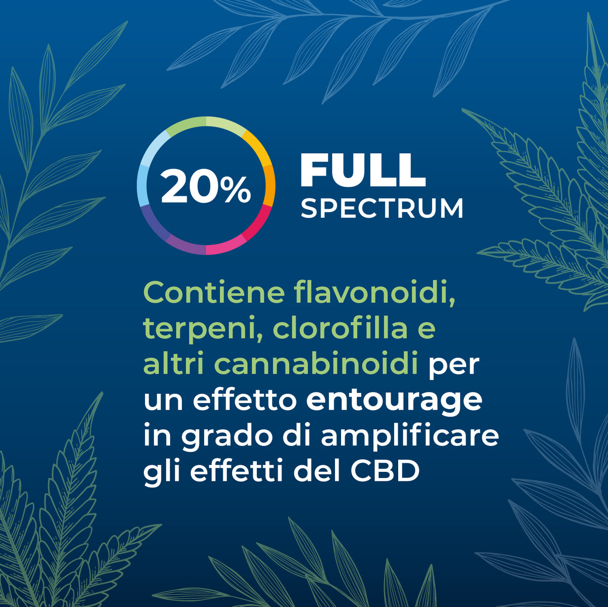 Olio CBD full-spectrum 20% secondaria