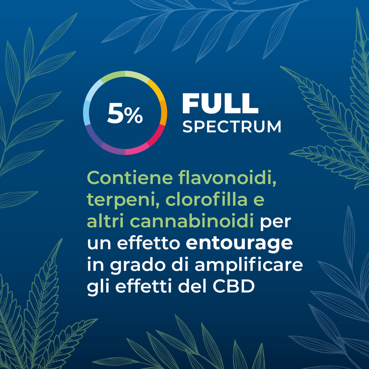 Olio CBD full-spectrum 5% secondaria
