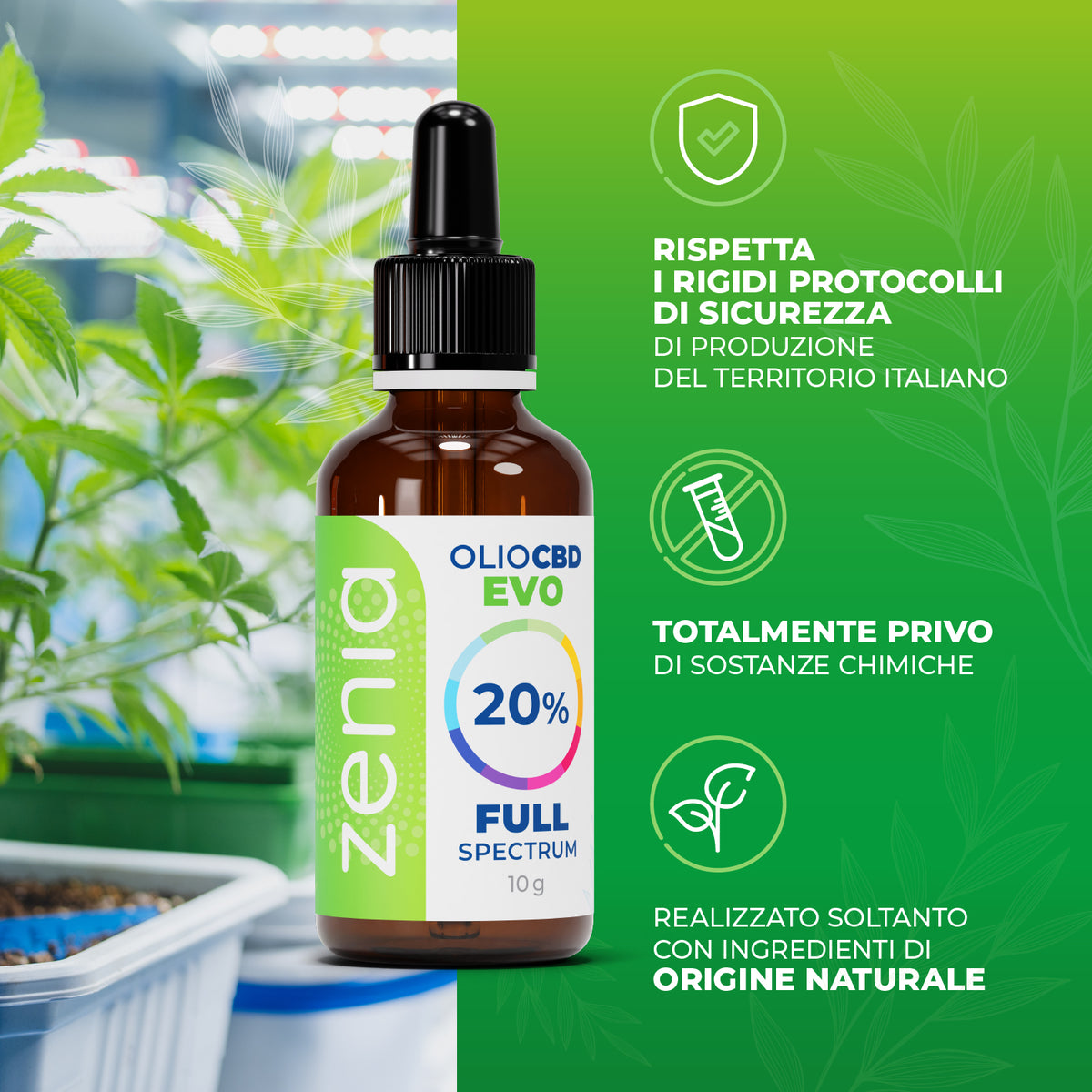 Zenia Olio CBD Evo full-spectrum 20% secondaria
