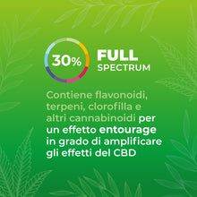 Zenia Olio CBD Evo full-spectrum 30% secondaria