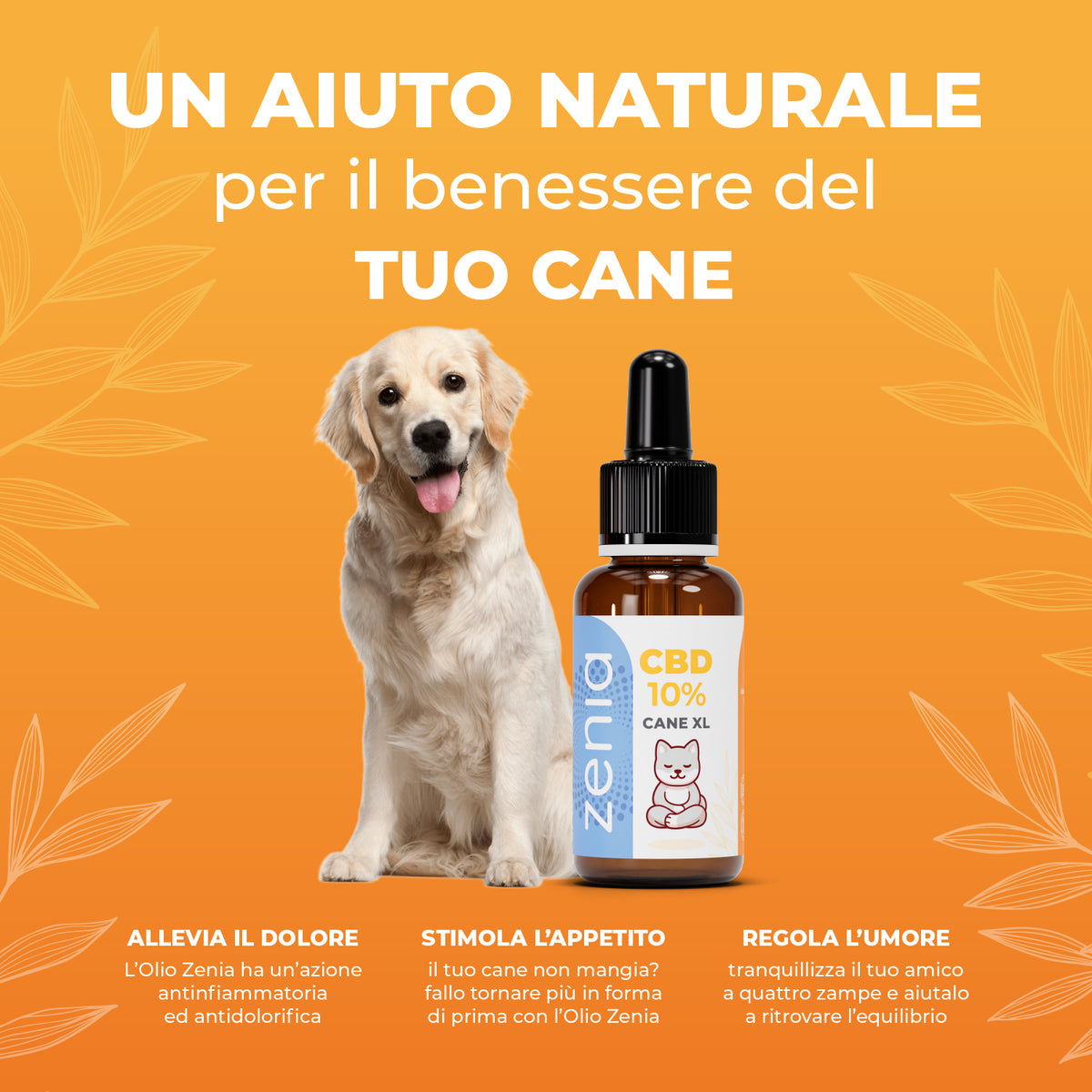 Zenia Olio CBD 10% Cane XL secondaria 30-50-100ml