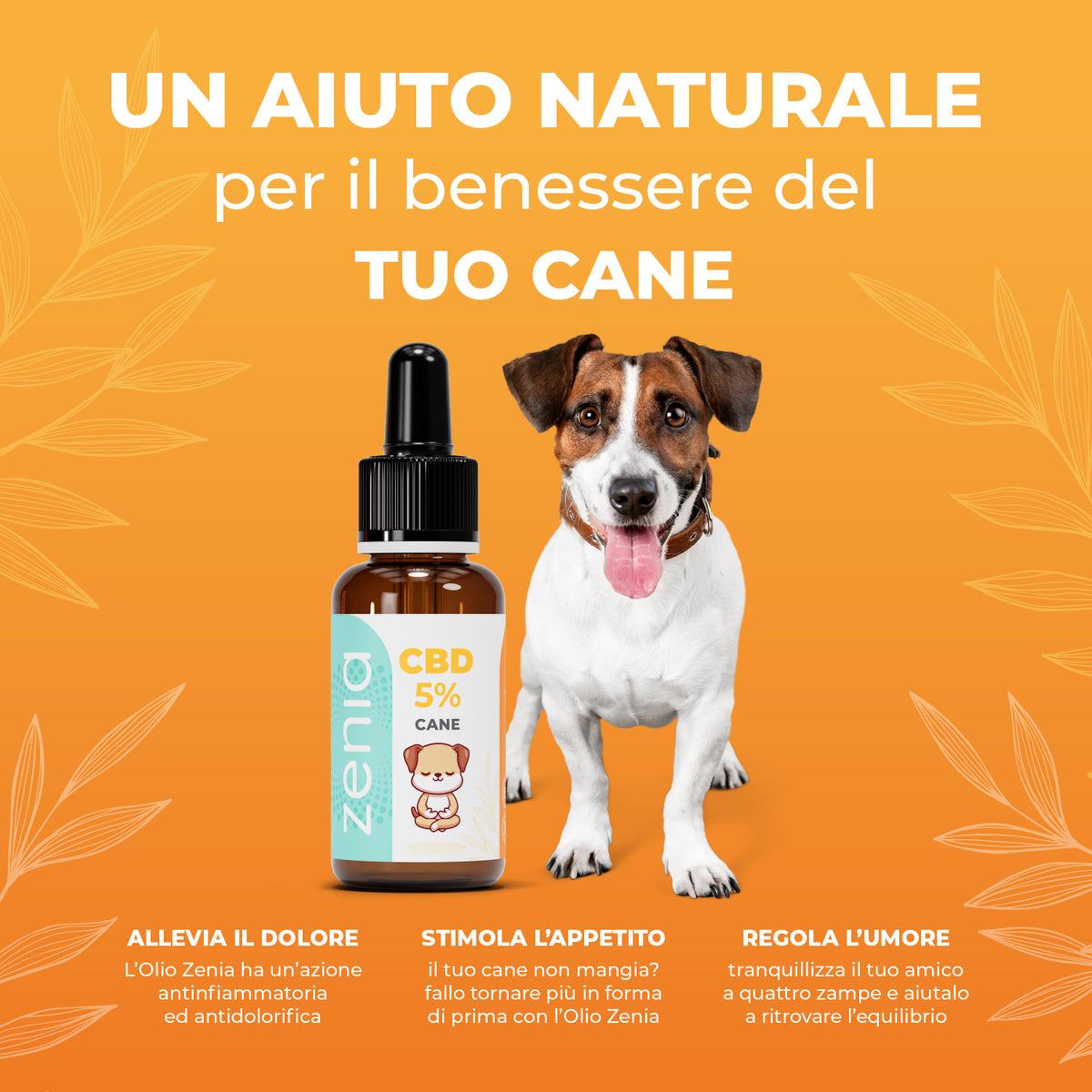 Zenia Olio CBD 5% Cane secondaria 30-50-100ml