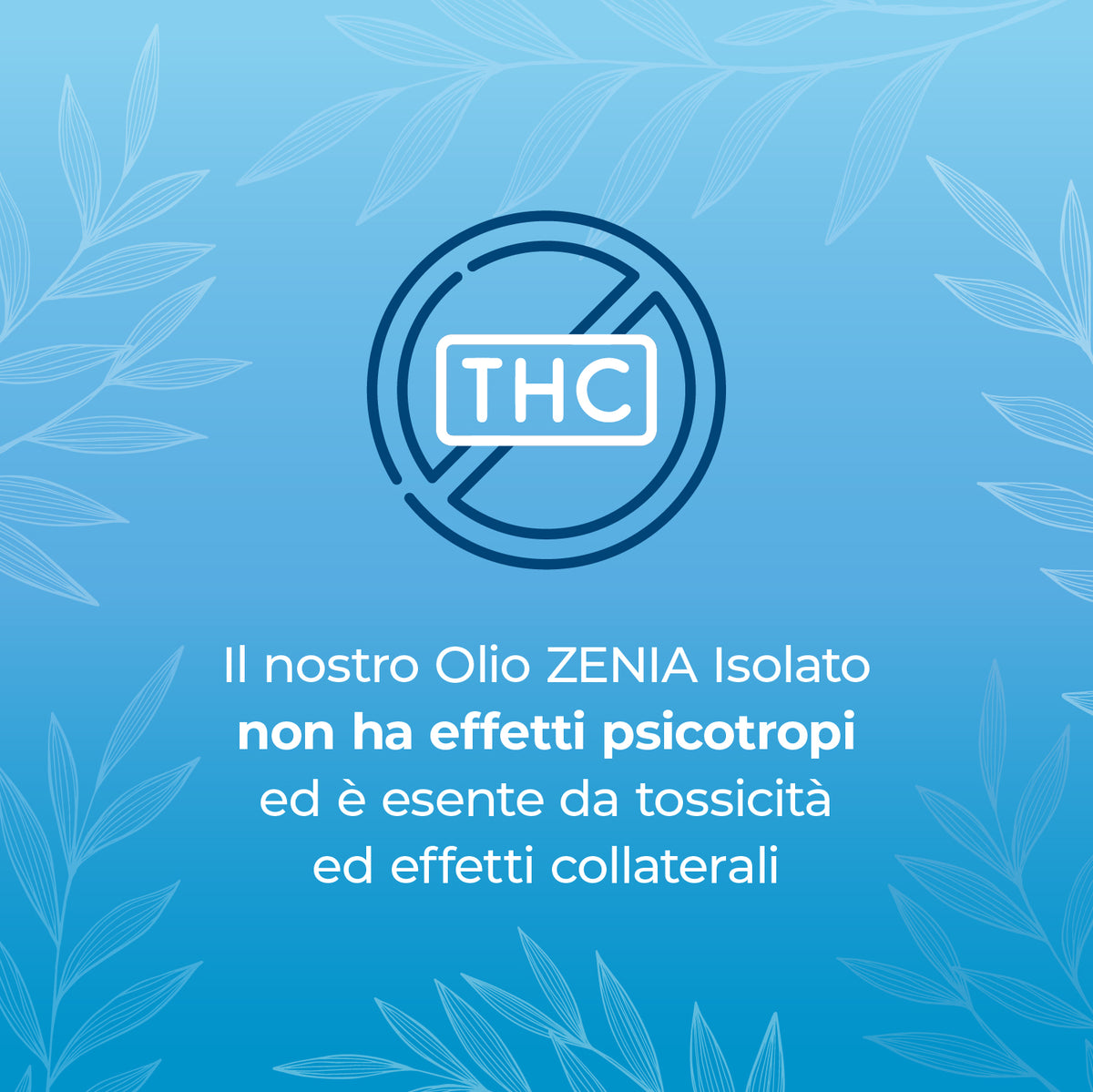 Zenia Olio CBD 20%