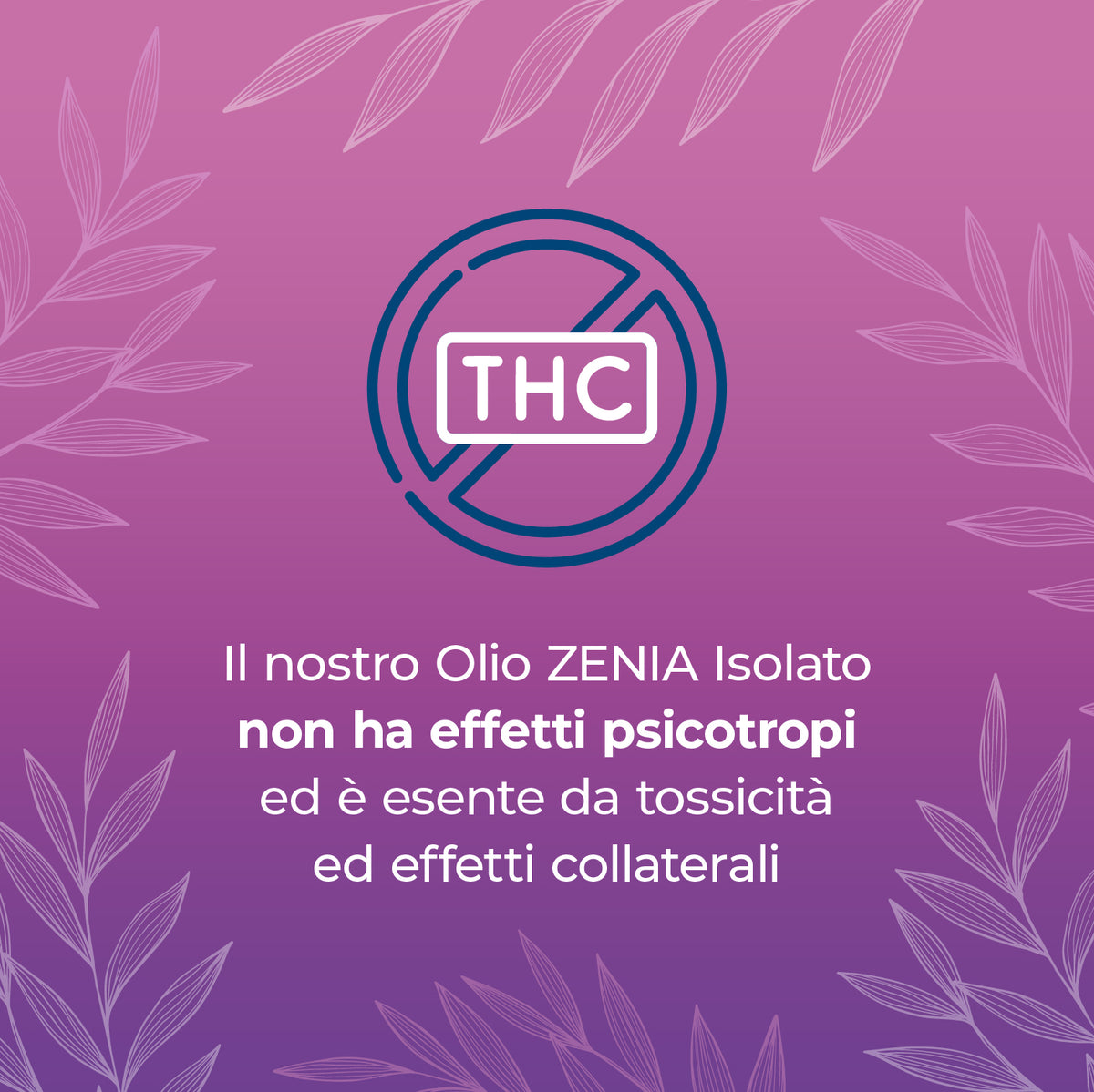 Zenia Olio CBN 20%