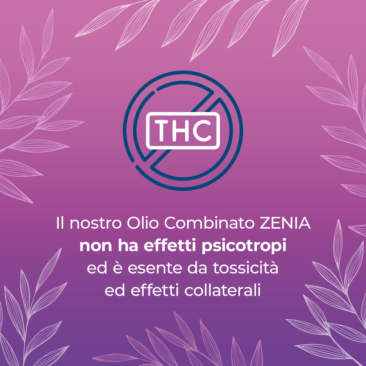 Olio CBN 10% + 10% sec