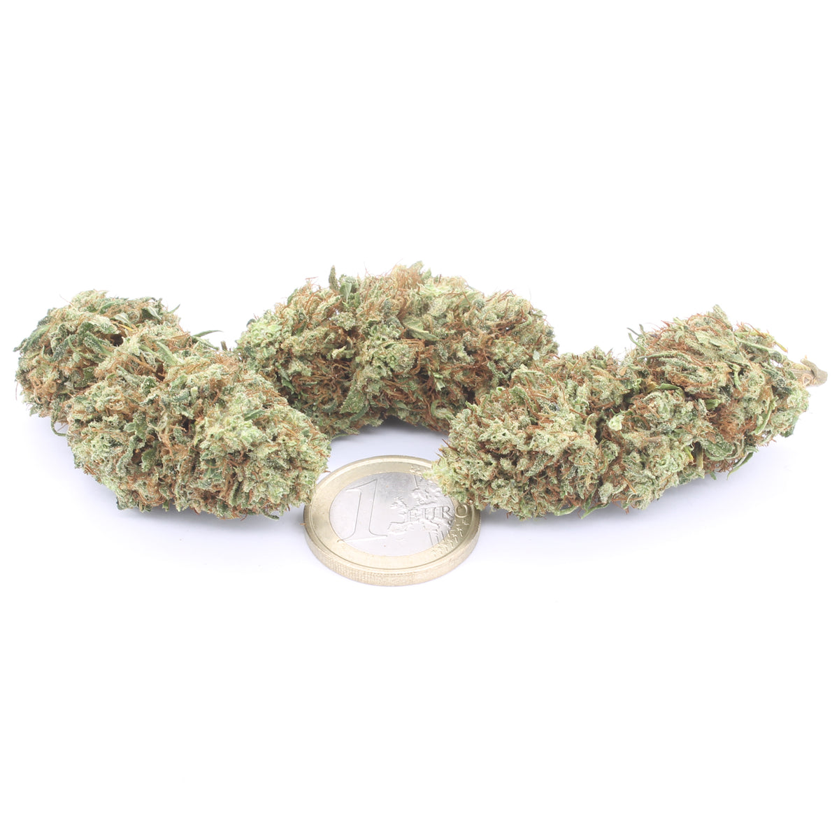 Lemon Haze