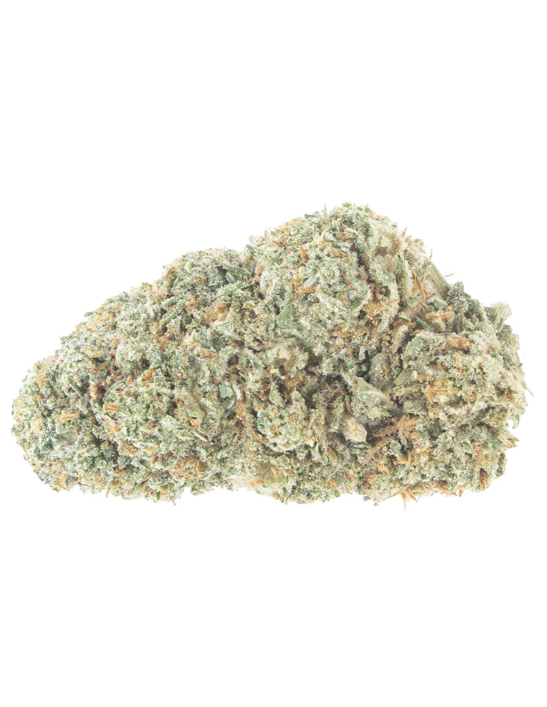 Northern Lights