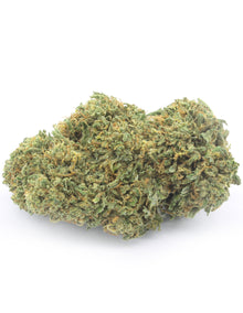 Orange Bud