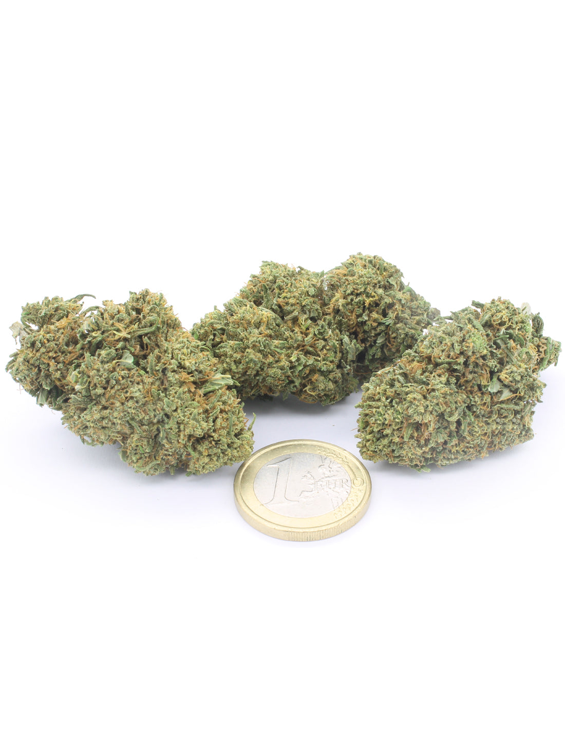 Orange Bud