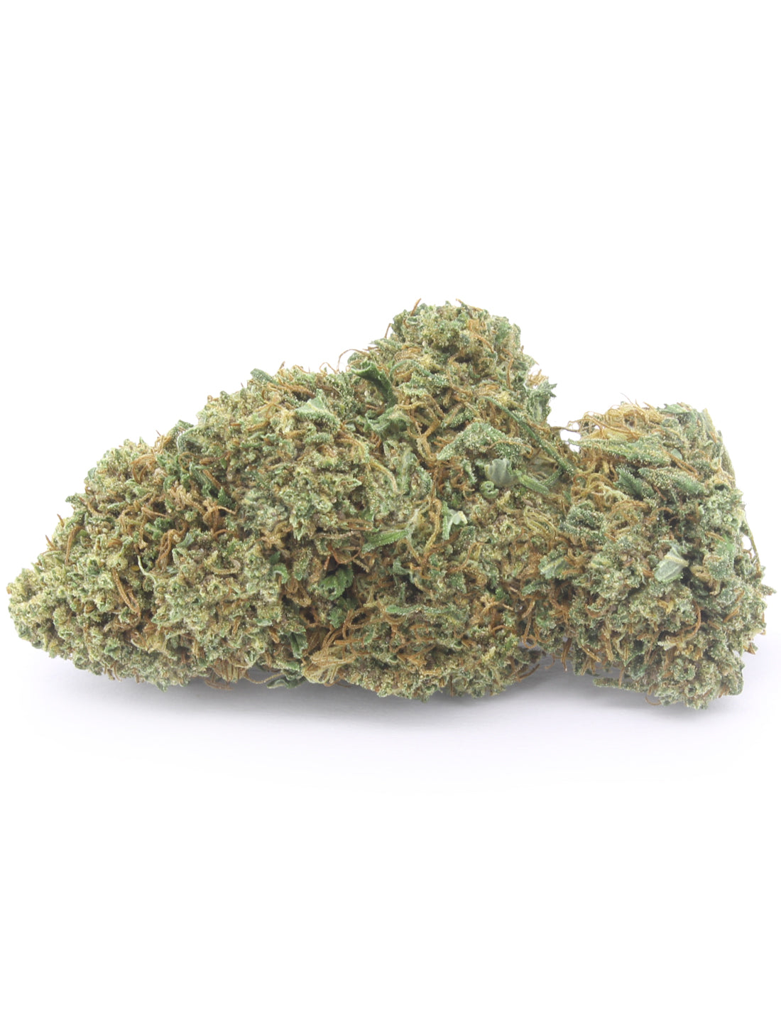Mimosa