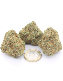 Gorilla Glue Indoor