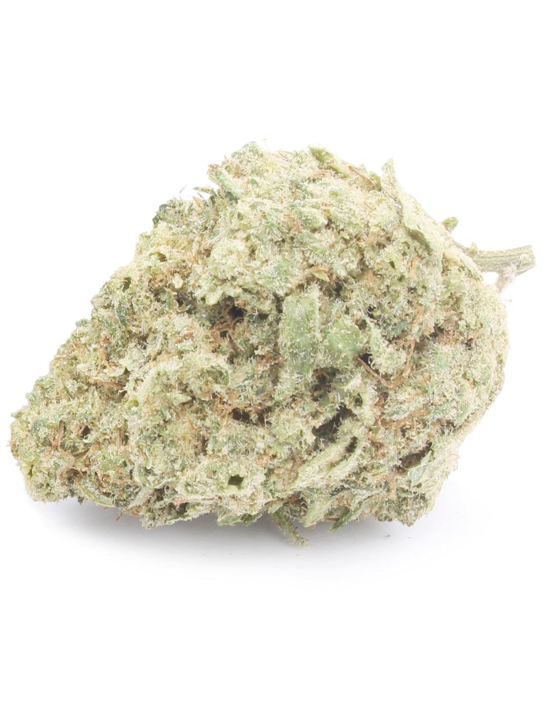 White Widow Indoor